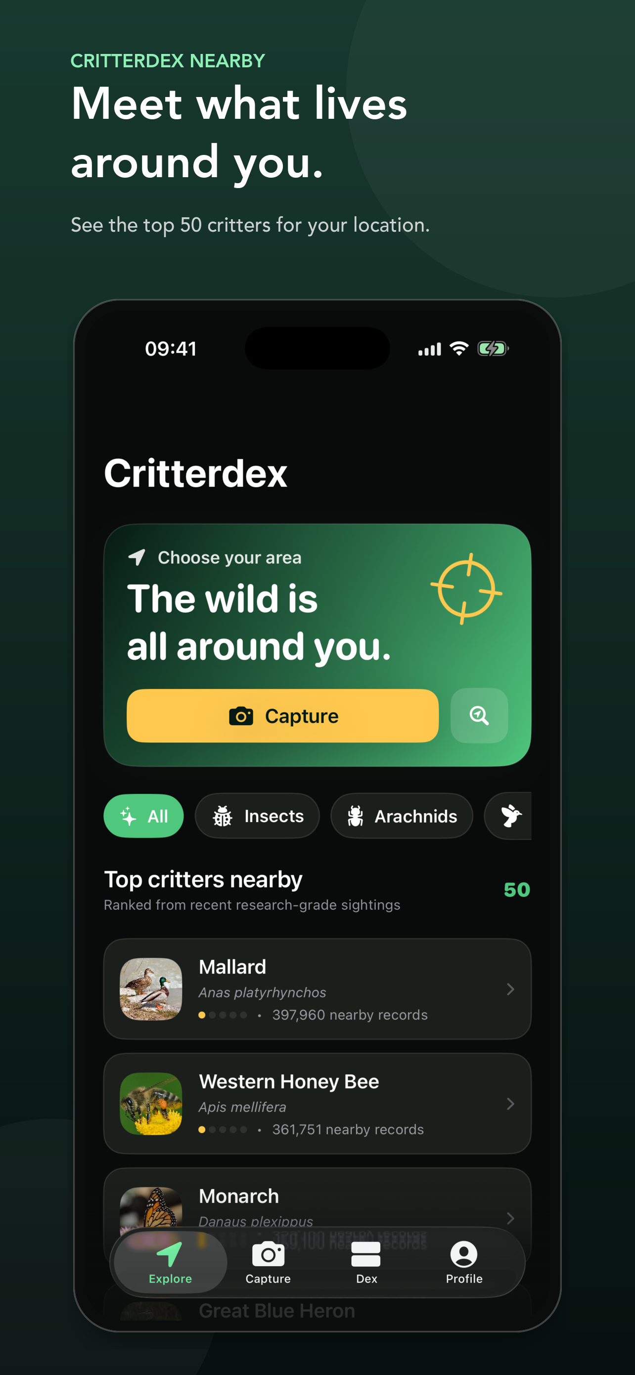 Critterdex nearby wildlife screen